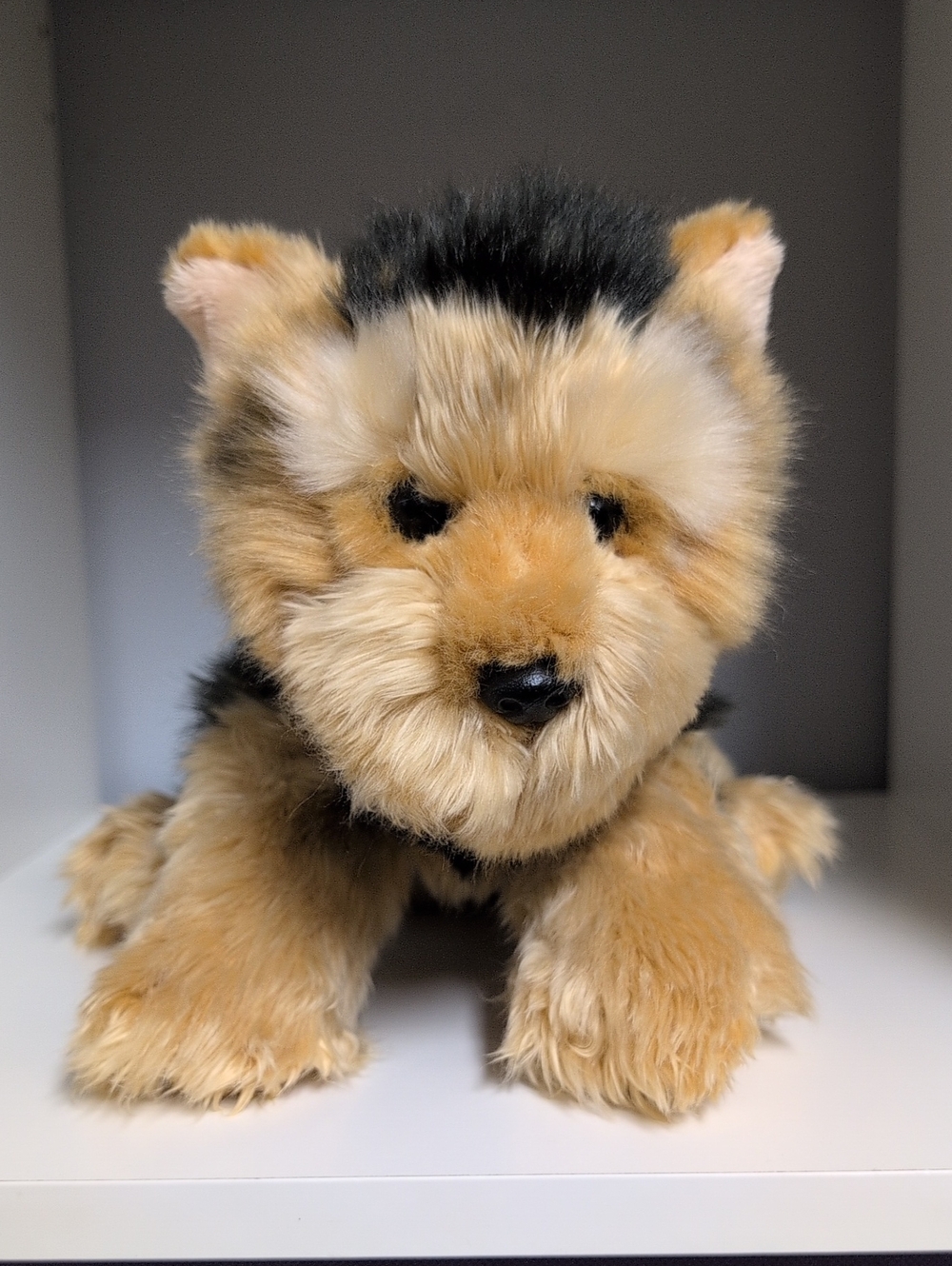 Webkinz Signature Short Haired Yorkie No Code Y2k Collectible Plush GANZ